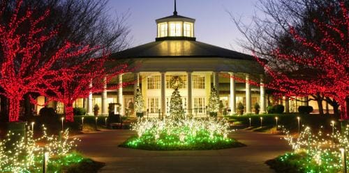 Candy Cane Christmas Lights
