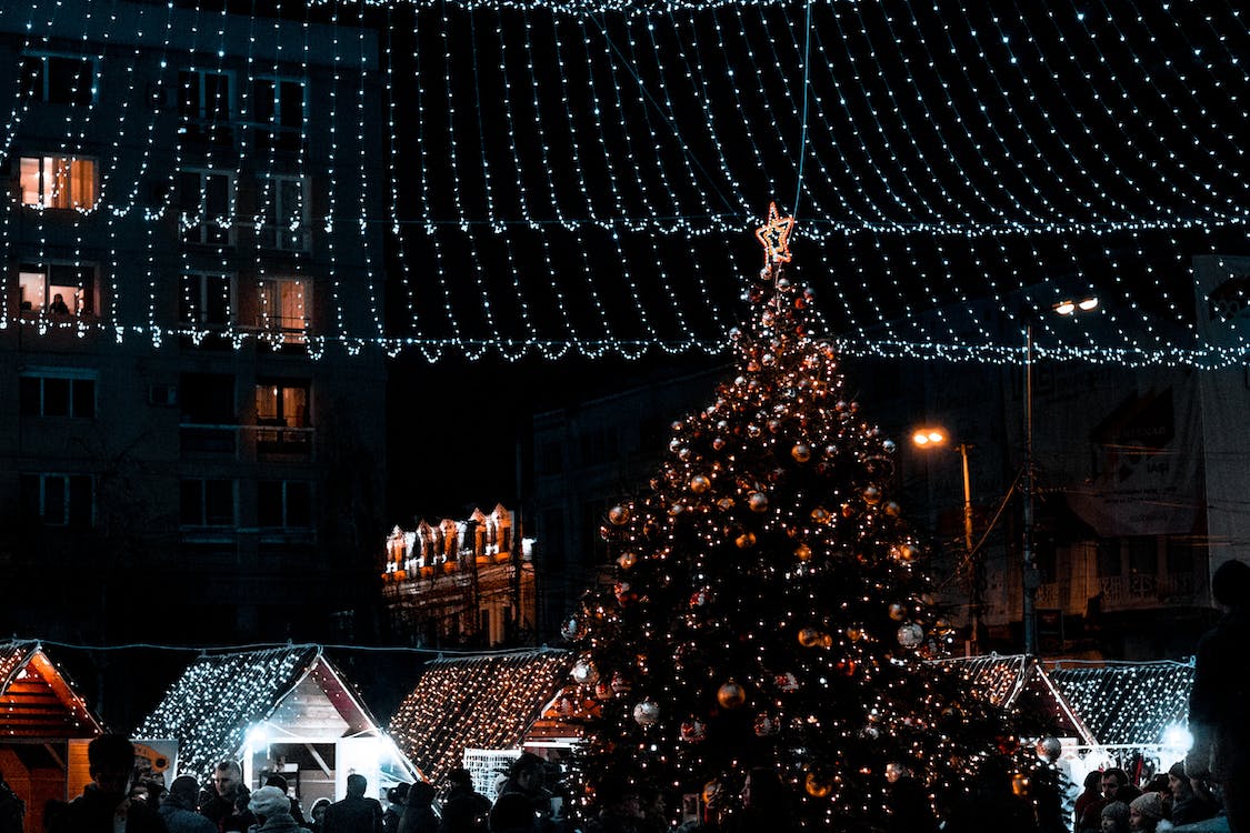 Rocklin-tree-Christmas-lights this image shows tree Christmas lights in Rocklin, CA
